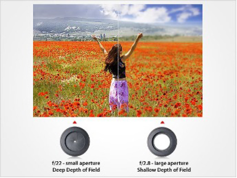 A woman inn a field of flowers that showcases the difference between a F/22- small aperture with deeper depths of the field versus a F/28 large aperture that captures a shallower depth of the field.