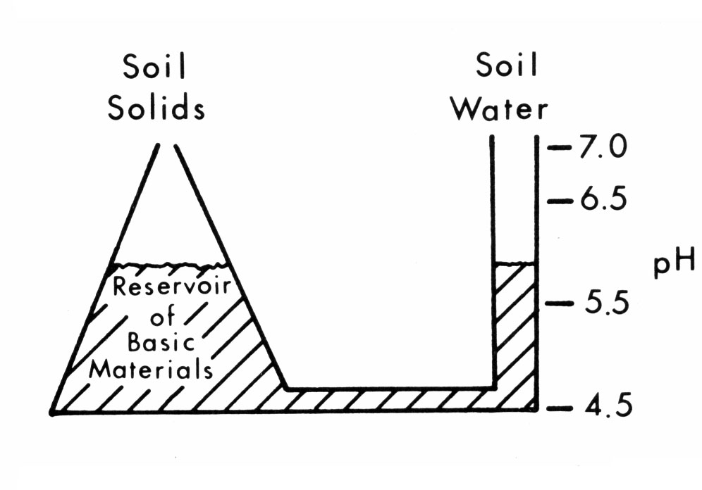The relationship of basic materials in soil solids to pH of the soil.