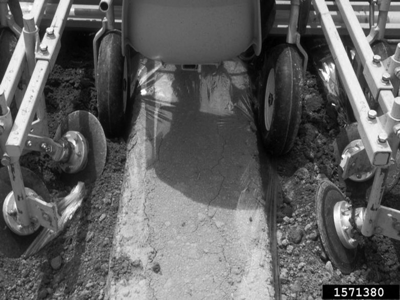 ractor-mounted bed shaping and simultaneous application of drip tape and plastic film to rows. ractor-mounted bed shaping and simultaneous application of drip tape and plastic film to rows.