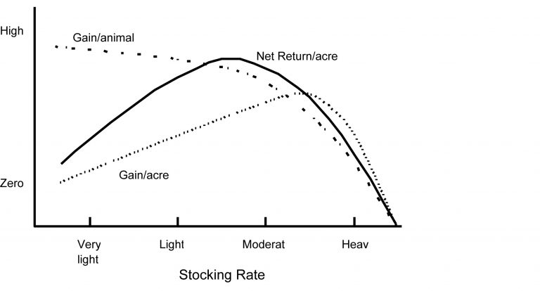 Effects of stocking rate on livestock performance and profitability.