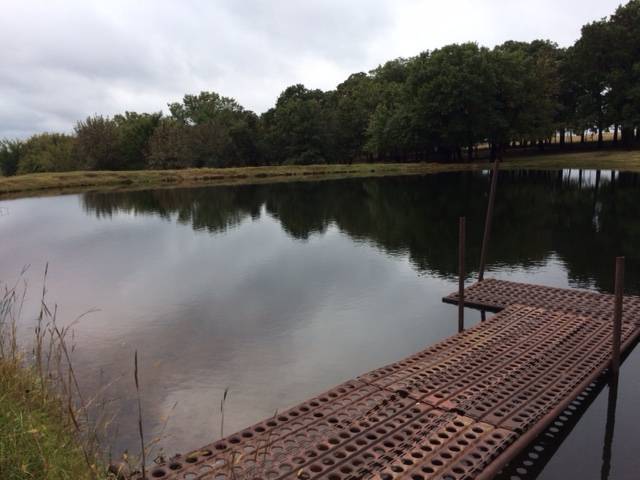  A dock featured for angling.