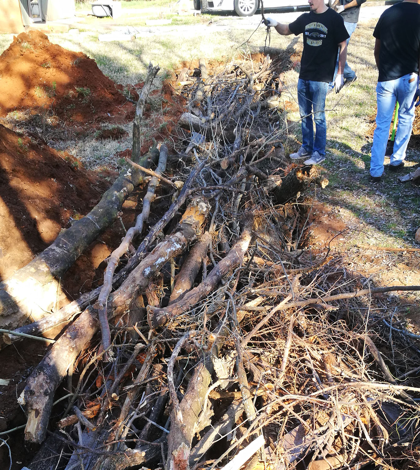 A layer of branches A layer of branches