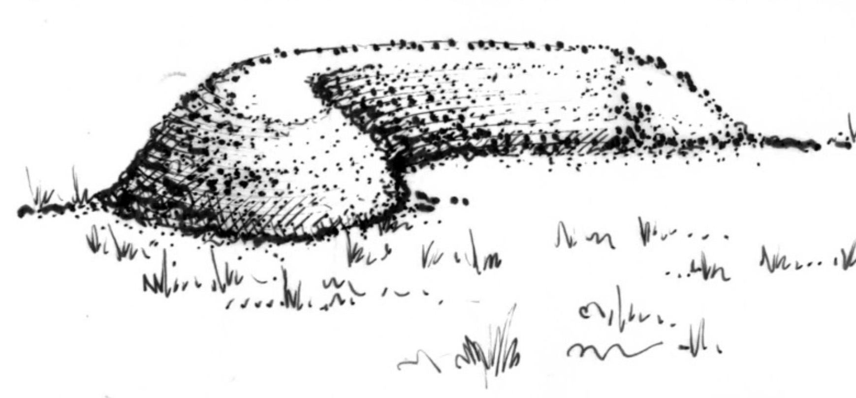 An illustration of a curved, raised garden mound (hügelkultur) sitting on grassy ground that slopes gently and follows the natural land contour, with textured shading to show layered soil and organic material.