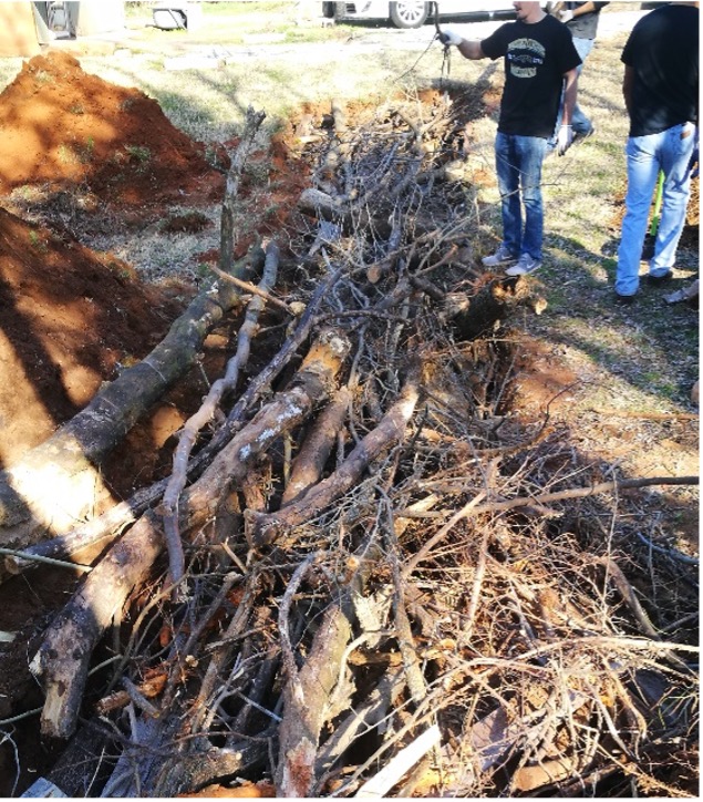 Figure 11 Sustainable Landscapes HLA-6478 Close-up of a trench filled with logs and branches forming the base layer of a hügelkultur bed for long-term decomposition and nutrient release.