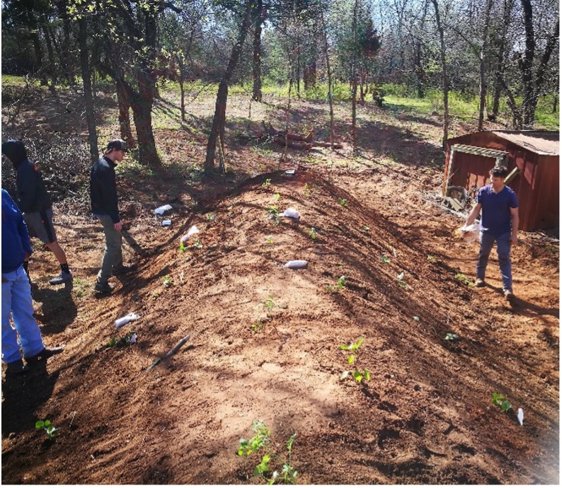 Figure 15 Sustainable Landscapes HLA-6478 Two men planting small green plants on a sloped soil mound near a weathered red shed in a wooded area.