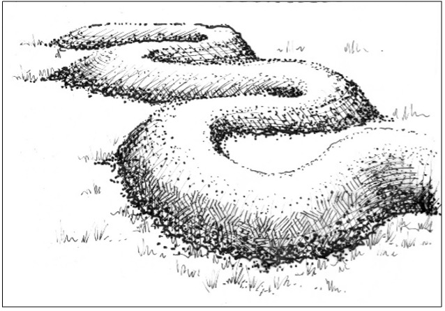 Figure 2a Sustainable Landscapes HLA-6478 An illustration of a serpentine mound that curves smoothly across the landscape.