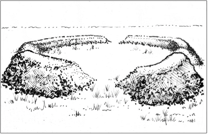 Figure 2b Sustainable Landscapes HLA-6478 An illustration that features four curved mound segments arranged like petals of a flower, forming a circular central space for people to use.