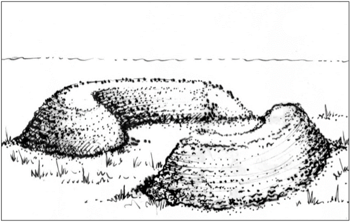 An illustration that shows two curved mound segments forming an incomplete circular ring that creates a more open, crescent-shaped gathering space.