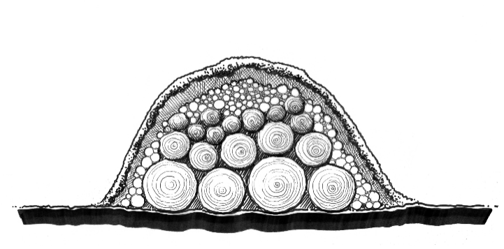 Cross-section diagram of an above-ground hügelkultur bed with stacked logs at the base topped by branches and covered in topsoil to form a raised mound.