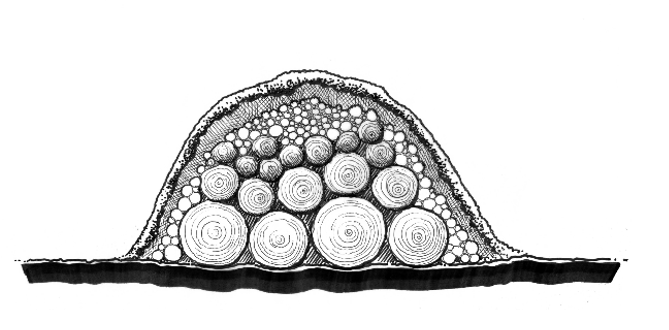 Figure 6a Sustainable Landscapes HLA-6478 Cross-section diagram of an above-ground hügelkultur bed without a border built from logs branches and organic material covered in topsoil sloping to ground level.
