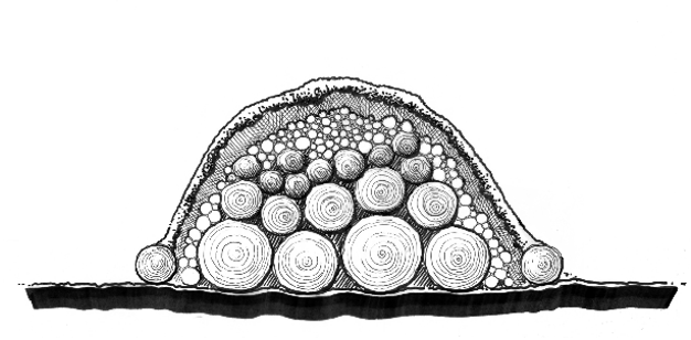 Figure 6b Sustainable Landscapes HLA-6478 Cross-section diagram of an above-ground hügelkultur bed with a wooden border using logs branches and topsoil held in place by edge logs.