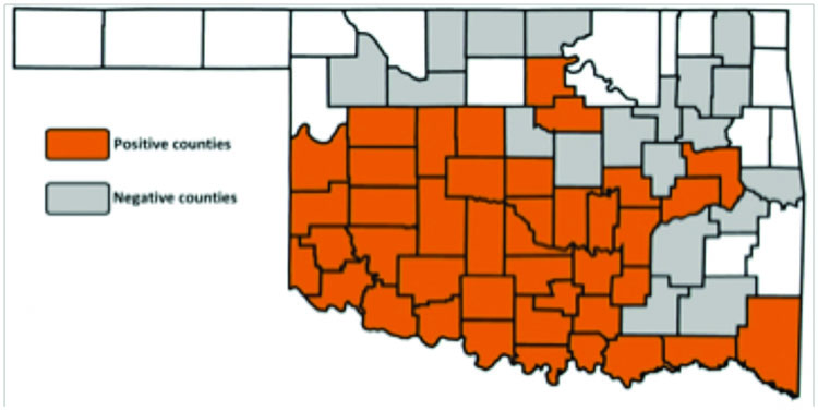 Updated (2009) Oklahoma sites where Africanized honey bee has been recovered (confirmed by DNA analysis).
