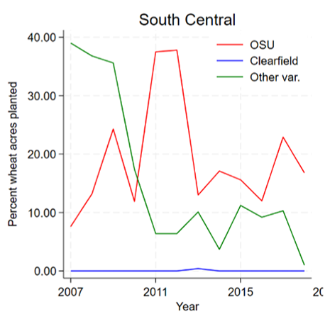A line chart shows the variety adoption for wheat for OSU, Clearfield and other varieties in south central Oklahoma. The percent of wheat acres planted ranges from 0 to 80 on the y-axis and the year ranges from 2007 to 2023 on the x-axis.