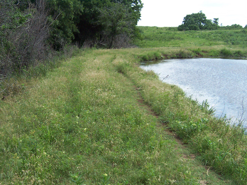 A pond dam is shown with trees on one side of it and water on the other. A pond dam is shown with trees on one side of it and water on the other.