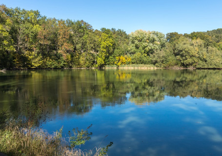 Pond surrounded by big green trees. Pond surrounded by big green trees.