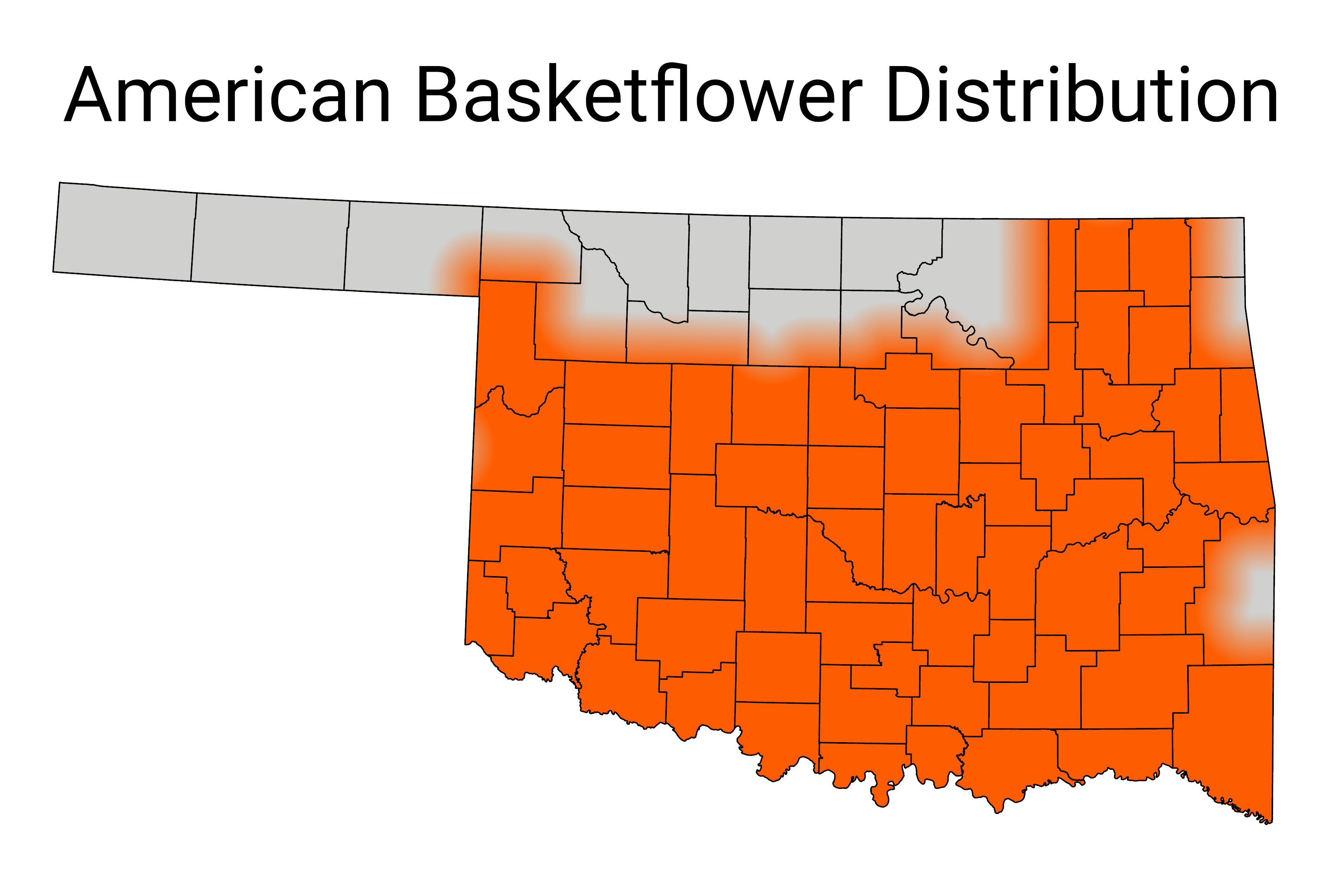 American basket flower ; Oklahoma Distrabution