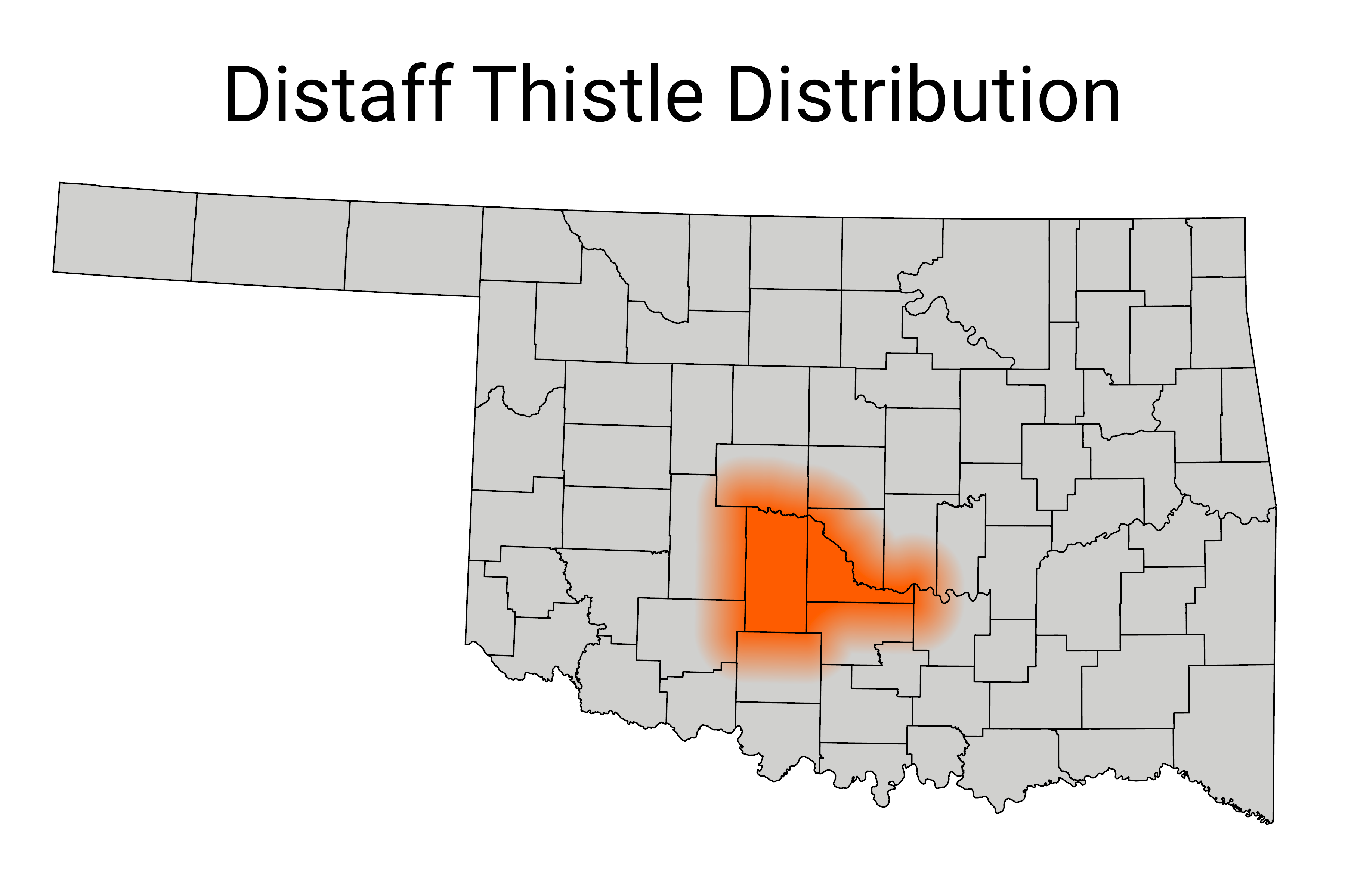 Distaff thistle Distribution