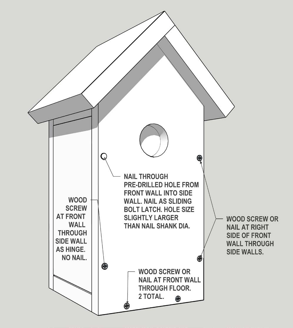 These are screw and nail positions at the front of the birdhouse.
