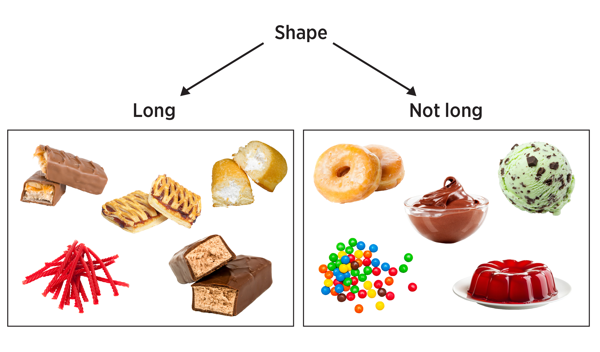 A dichotomous key for the dessert items starting with shape, noting the difference between long and not long. In the long category on the left side is the chocolate candy bars, twinkines, twizzlers and poptarts. On the not long category on the right side is donuts, pudding, skittles, jello and chocolate-mint ice cream.