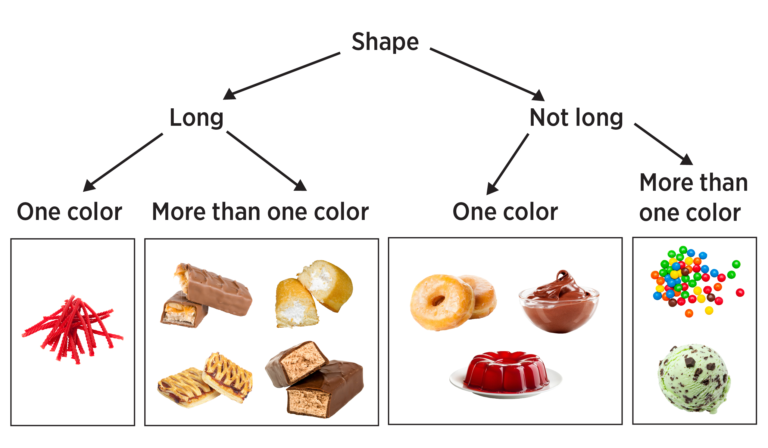 The same dichotomous key for the dessert items that has been further divided into categories. The left side that has the category of long, further divides into one color or more than one color. One color has twizzlers within the category and more than one color has chocolate candy bars, twinkies and poptarts. On the right hand side in the not long category is further divides into one color or more than one color. One color on the not long category has donuts, chocolate pudding and jello while the more than one color within the not long category has skittles and chocolate-mint ice cream.