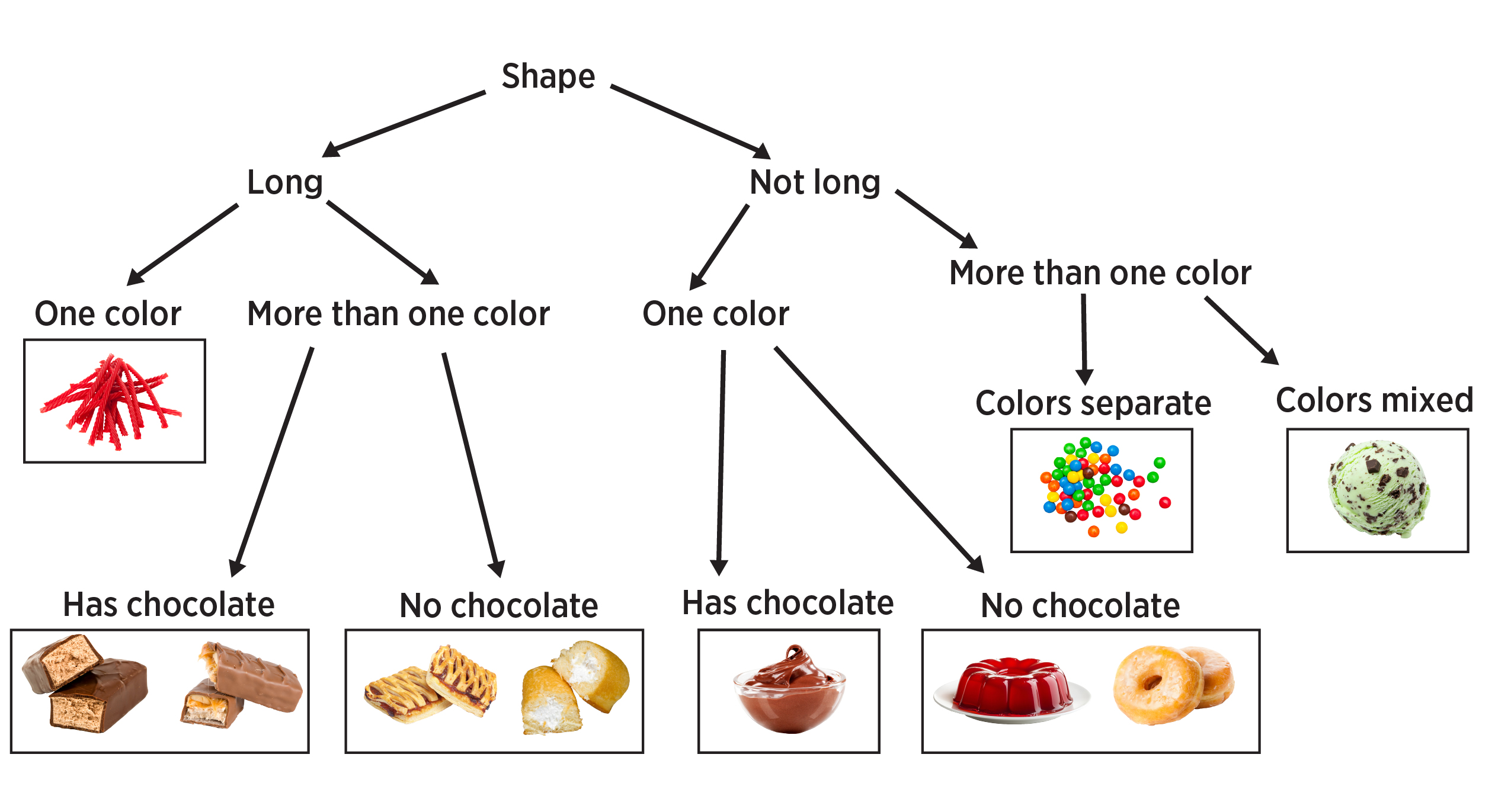 The same dichotomous key that is now further divided into categories. The long category divides the more than one color category into has chocolate or no chocolate. The has chocolate now has two different candy bars and the no chocolate has poptarts and twinkies. The not long category that was split into one color category has been further divided into has chocolate category , which only contains chocolate pudding, the no chocolate category has jello and donuts. The more than one color category has been divided into colors seperate category which has skittles and the colors mixed category which has chocolate-mint ice cream.