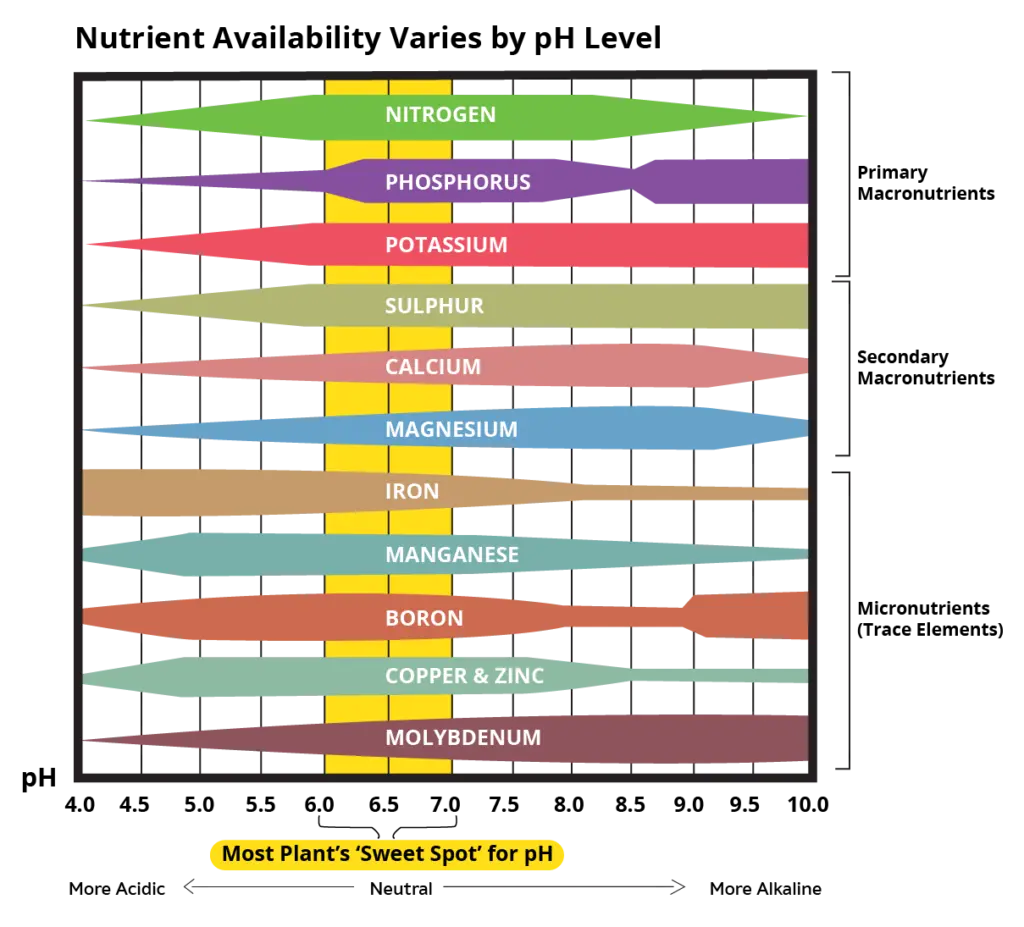 A chart titled “Nutrient Availability Varies by pH Level” showing how easily different plant nutrients are absorbed across soil pH levels ranging from acidic (4.0) to alkaline (10.0).The colored horizontal bands widen or narrow to represent nutrient availability, with a highlighted yellow range around pH 6.0–7.0 labeled as the optimal “sweet spot” where many nutrients are most available to plants.