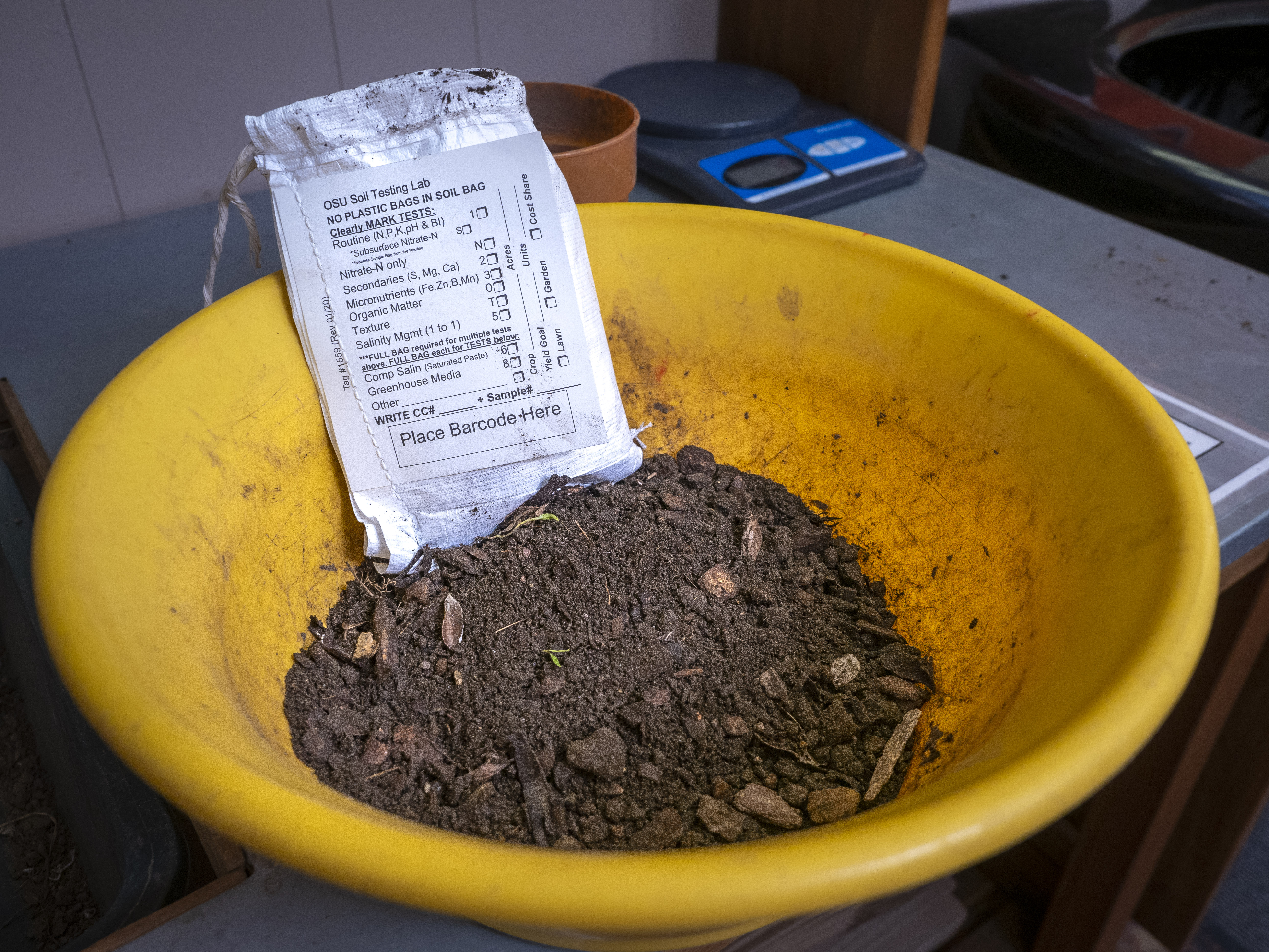 A yellow bown with brown soil and a soil testing bag inside of it.