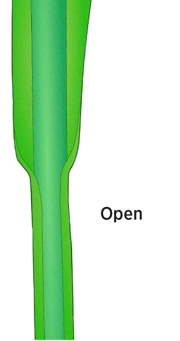 A green open sheath leaf.