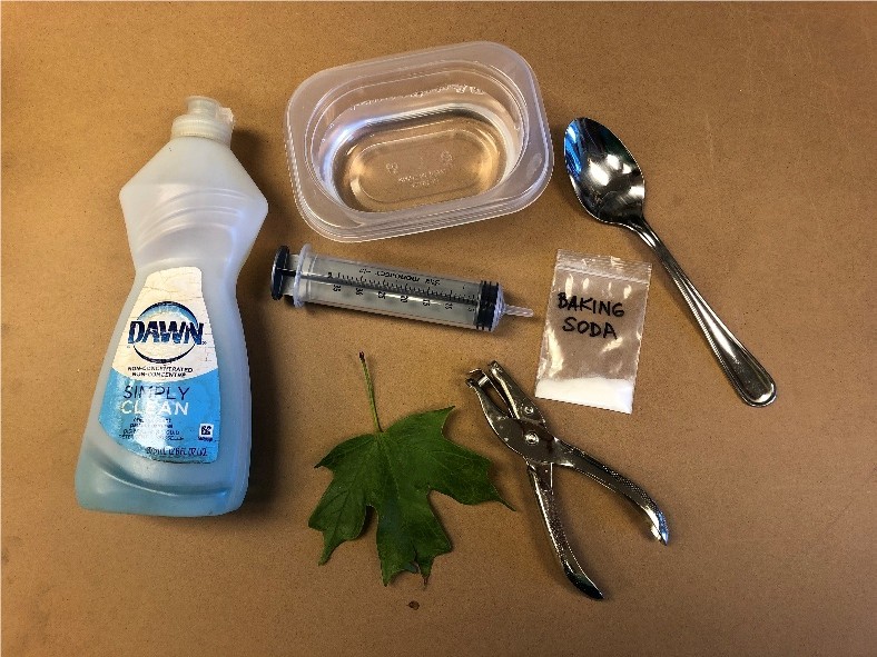Supplies sitting on a table such as dawn dish soap, a container of water, a spoon, a syringe, a leaf, a packet of baking soda and a hole-puncher.