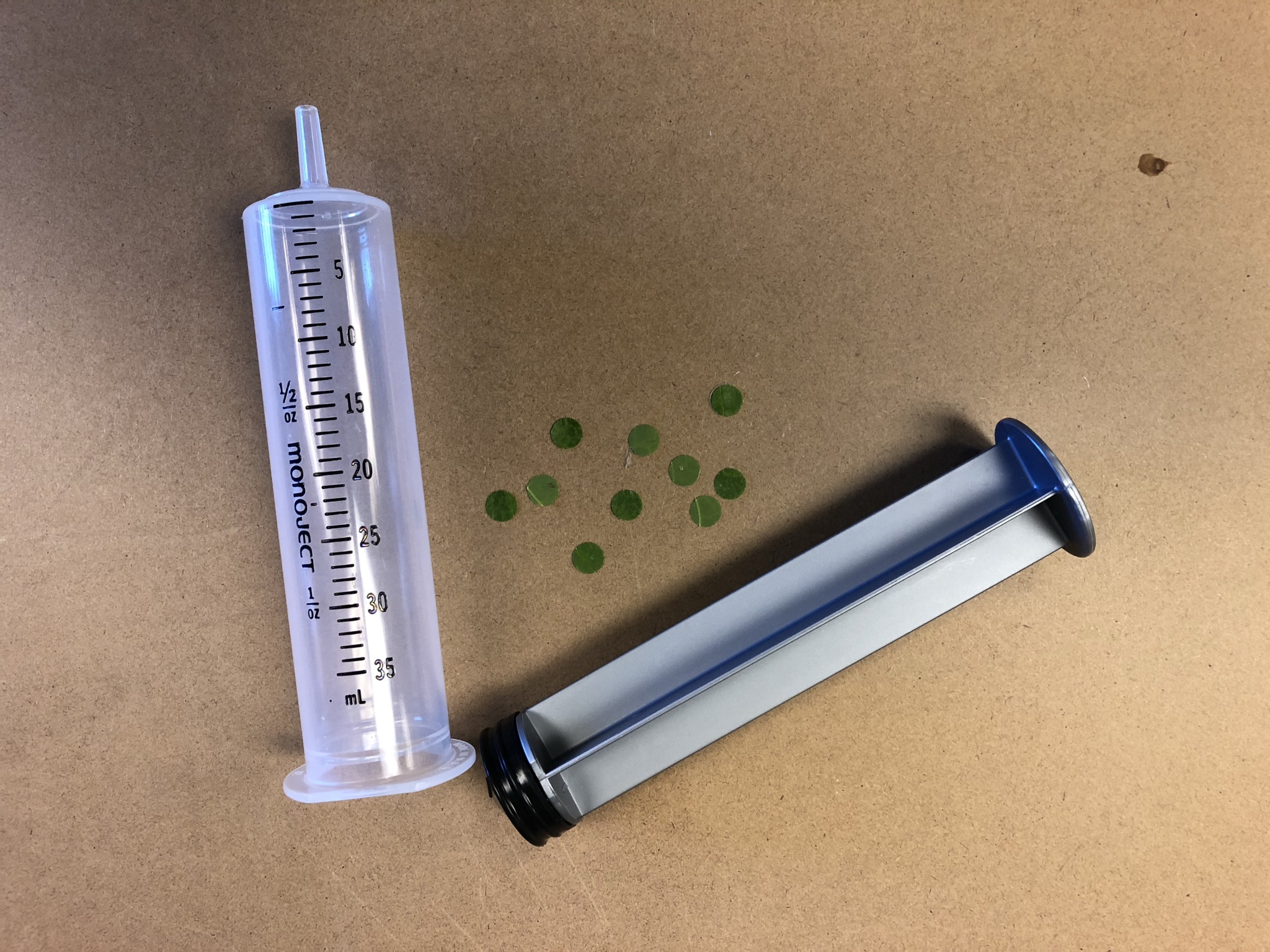 A disassembled syringe next to the disks of the hole-punched leaves.