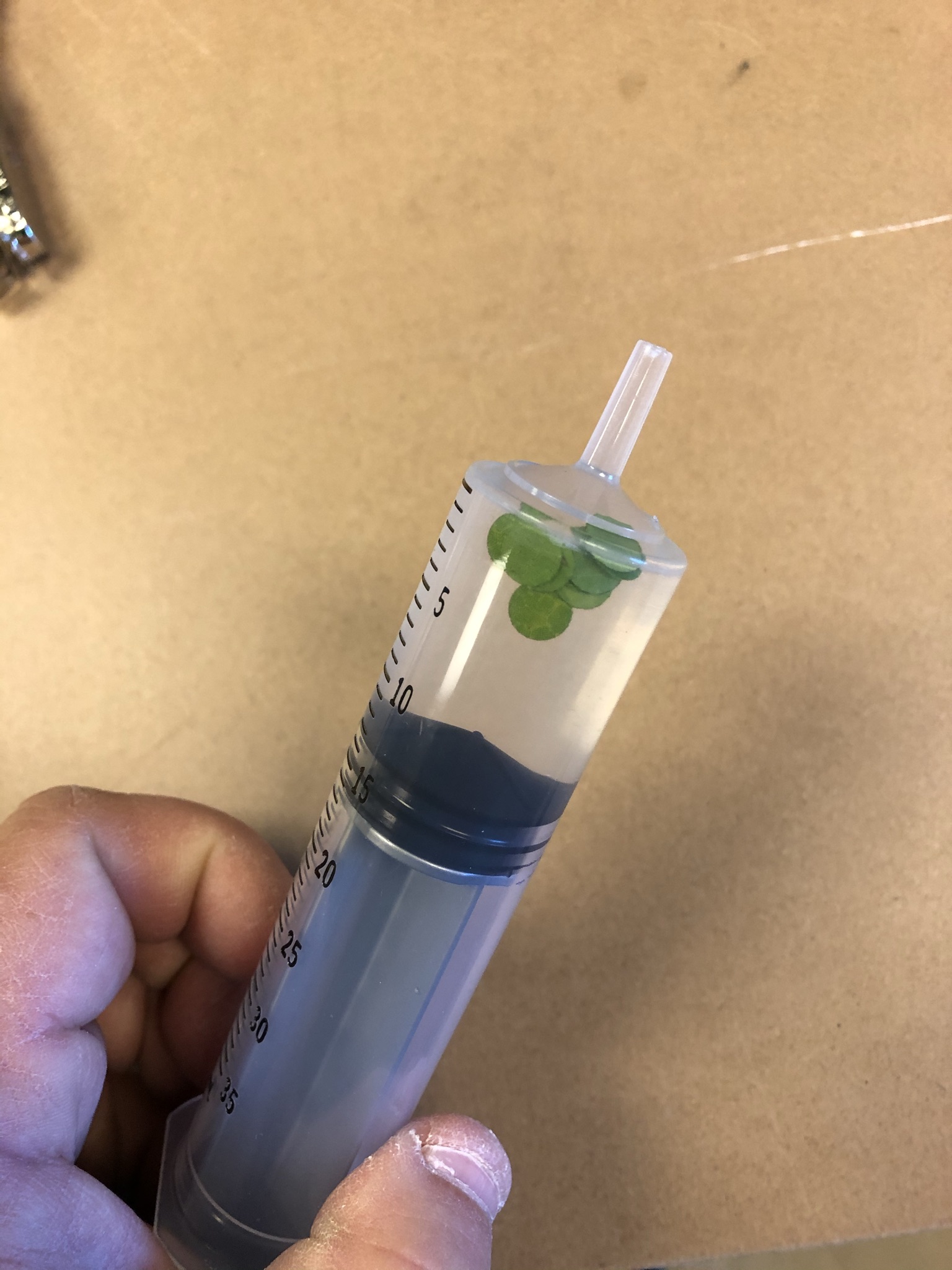A syringe with the disks of hole-punched leaves floating in a solution of baking soda and soap.