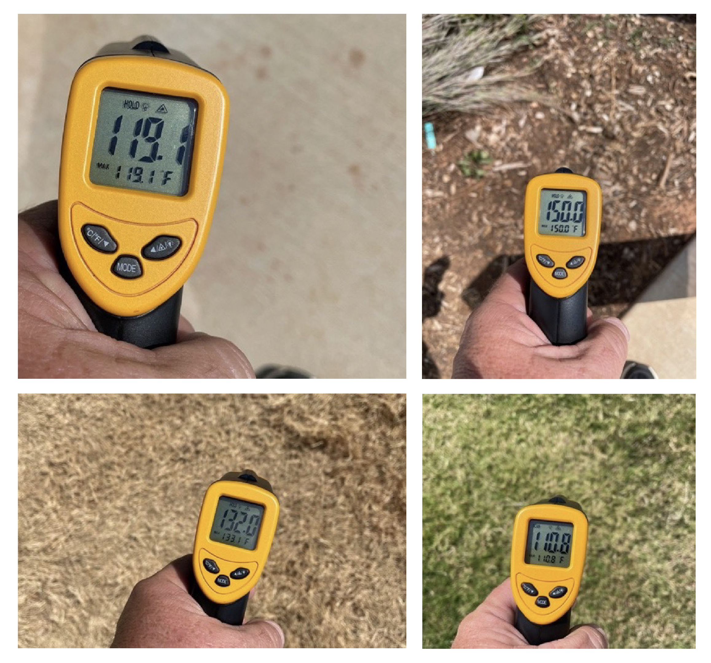 A person holding a yellow infared thermometer as they take the temperature of multiple areas outdoors. The left upper quadrant shows the temperature of the concrete at 119.1 degrees, the left lower quadrant shows the dead grass temperature at 132 degrees, the right upper quadrant shows wood mulch at 150 degrees and the right lower quadrant shows living grass at 110.8 degrees.