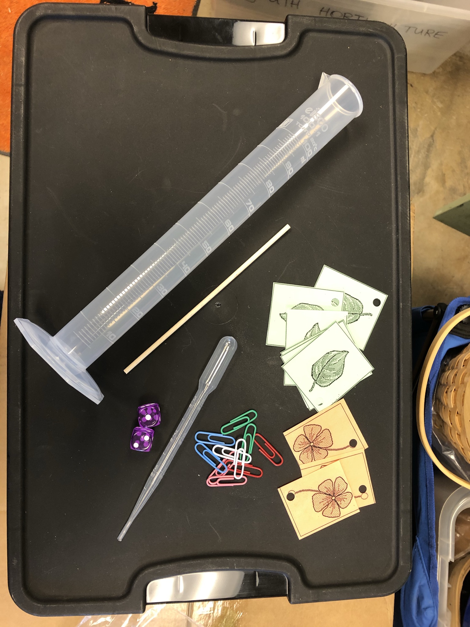 Supplies that include a graduated cylinder, a dropper, paper clips, dice and paper cut outs of flowers and leaves.
