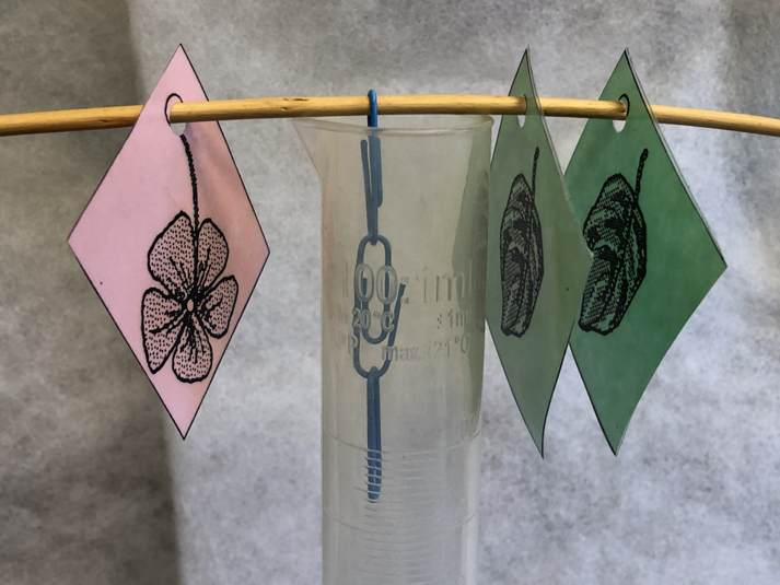 Three blue paper clips hanging from a wire nestled inside of a plastic cylinder, two square paper drawings of leaves and one drawing of a flower.