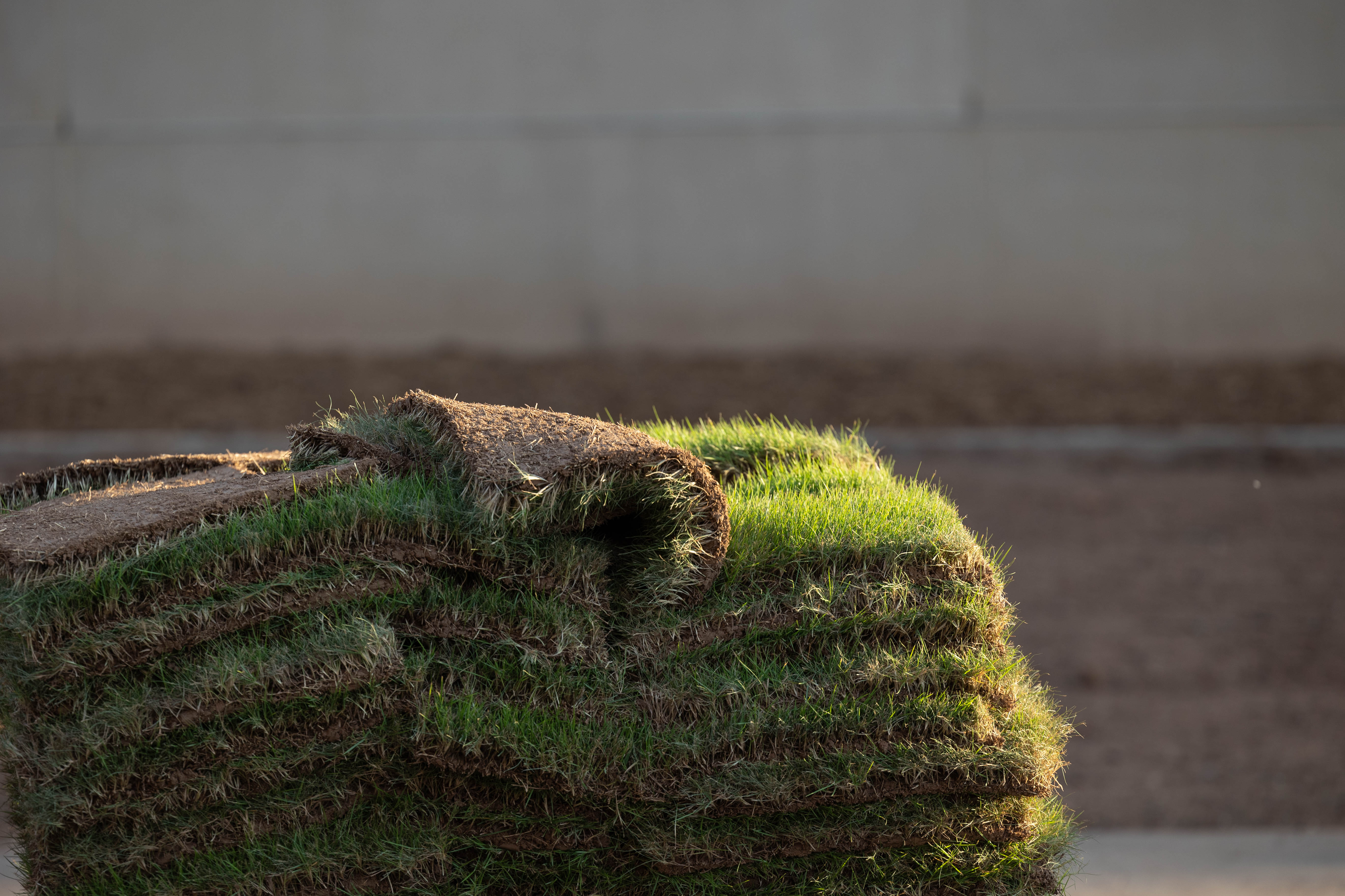 Rolls of sod laying on top of one another.