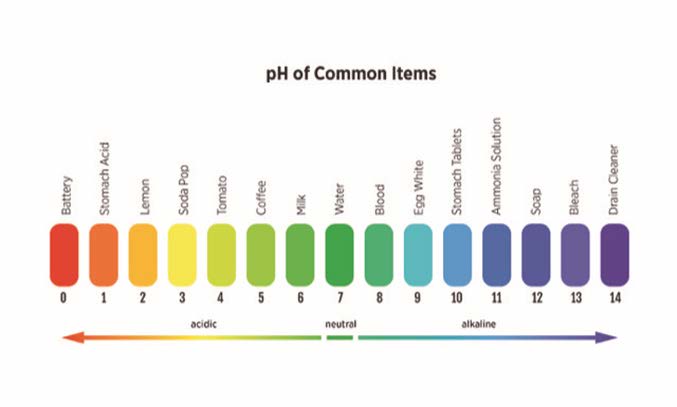 The pH scale from low to high pH. The pH scale from low to high pH.