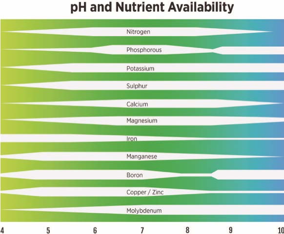 A diagram showing how pH effects nutrient availiability in different elements. A diagram showing how pH effects nutrient availiability in different elements.