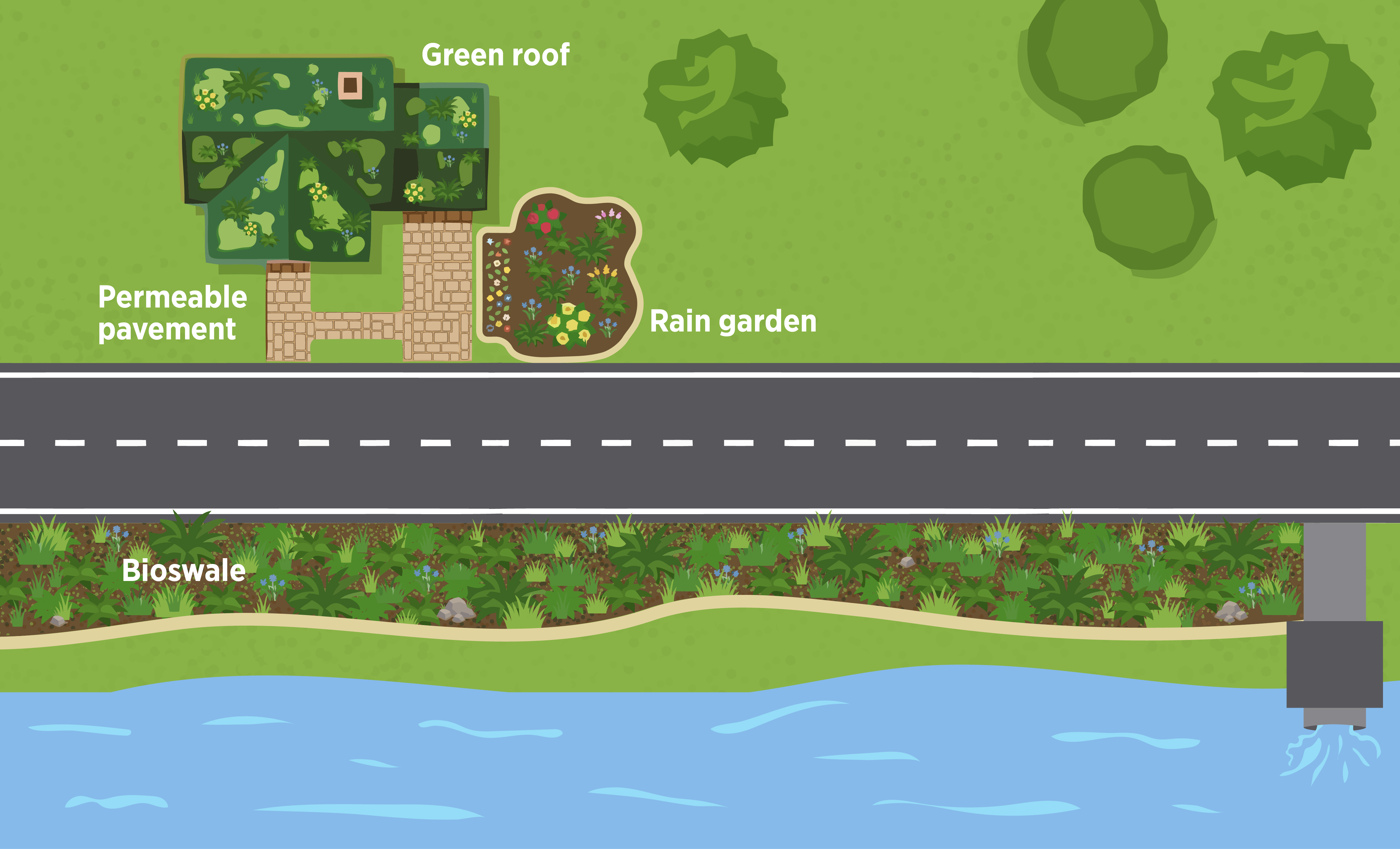 Illustration of green infrastructure for stormwater management, including a green roof, permeable pavement, rain garden and bioswale.