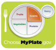 MyPlate picture highlighting grain section.
