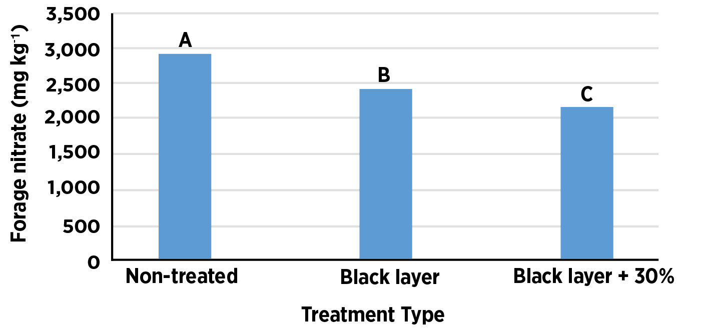 A bar graph with blue to indicate the Forage nitrate (mg kg) (between 0 to 3,500) used during the treamtment type (Non-treated, Black layer or Black layer +30%).