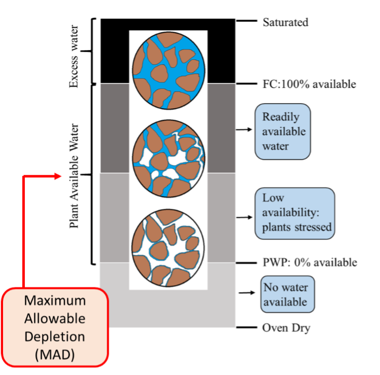 A vertical diagram showing how soil moisture levels affect the water availability to plants, showing stages from saturated soil with excess water, to Field Capacity where water is most available, down to the Permanent Wilting Point where plants can no longer access water. A highlighted section labeled Maximum Allowable Depletion indicates the amount of water that can be used before plants begin to experience stress.