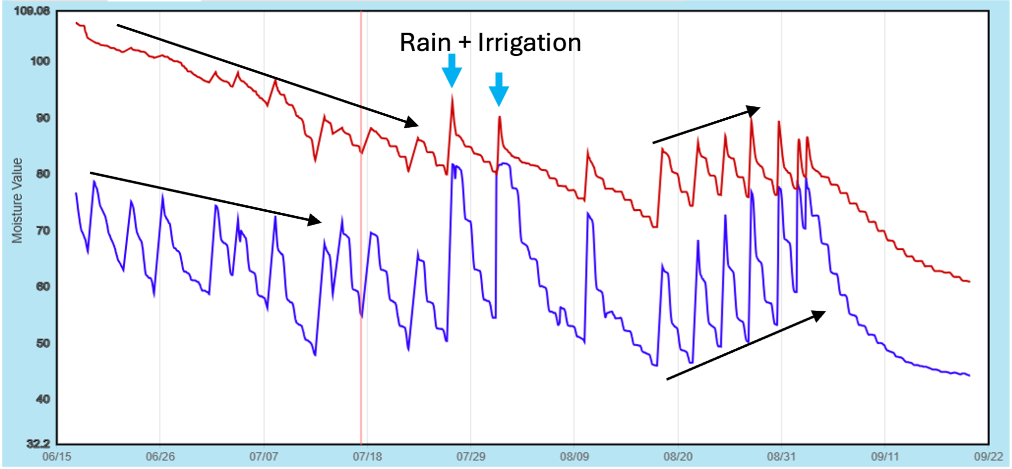 A graph labeled “Rain + Irrigation” with two lines tracking moisture values over time from mid-June to late September. The red line (upper) and blue line (lower) both trend downward overall, but repeatedly spike upward, indicating moisture increases after rain or irrigation events marked by arrows. The blue line shows sharper drops and more frequent fluctuations, suggesting faster drying compared to the steadier red line.