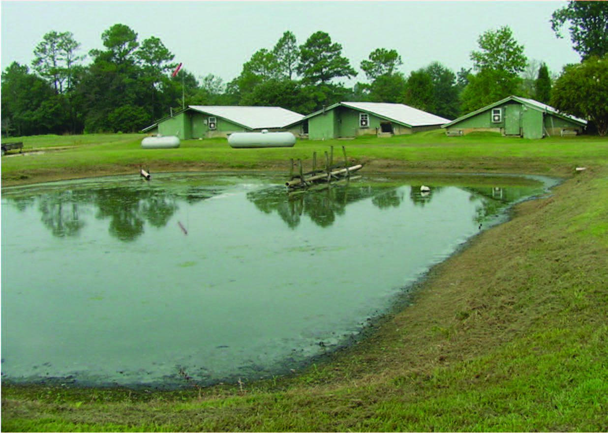 Alligator wastewater storage pond.