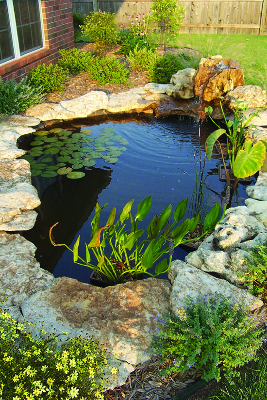 A small garden pond.
