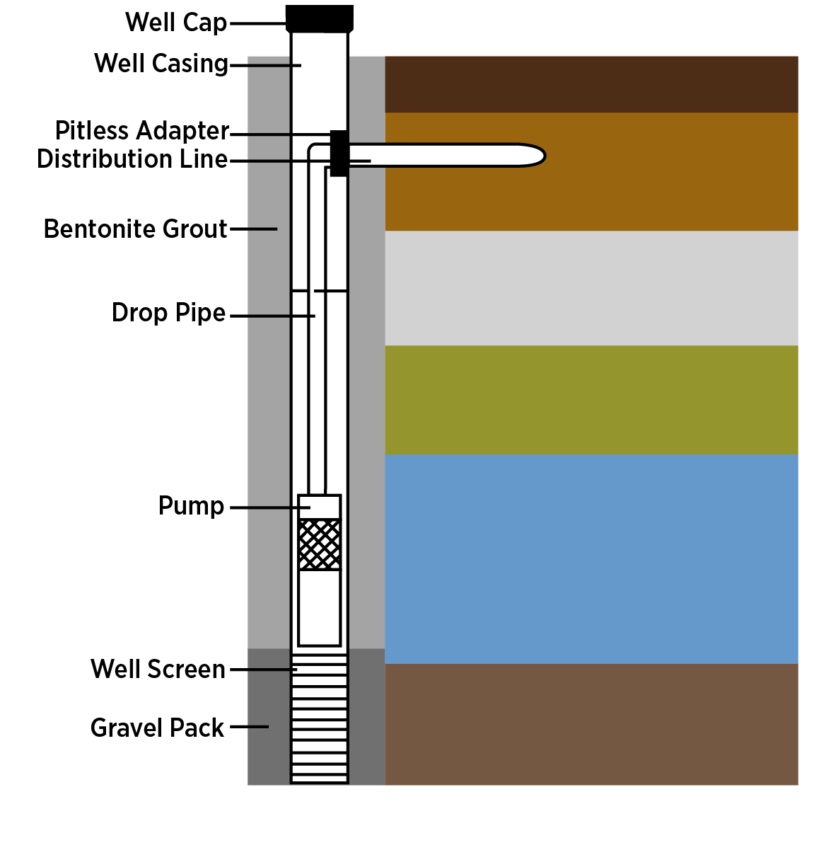 Figure One The components of a common well, showing the well cap at top, well casing, pitless adapter, distribution line, bentonite grout, drop pipe, pump, well screen and gravel pack at the bottom.
