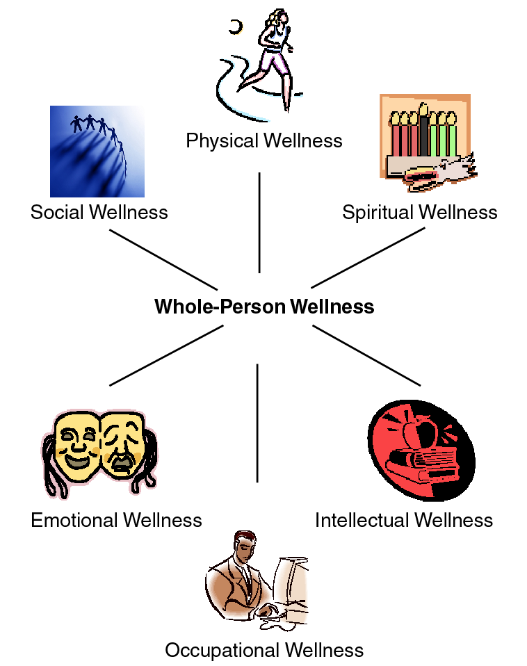 A Balanced Experience: Upright Training For Whole-Person Wellness (Part 2)