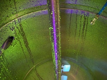 A interior of a process tank that has been sprayed with a riboflavin solution that is fluorescing under illumination of black light.