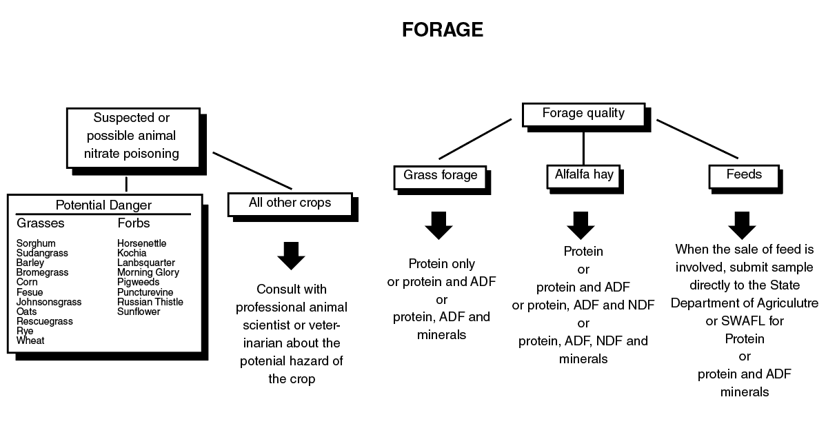 Flowchart for forage testing of forage quality. Flowchart for forage testing of forage quality.