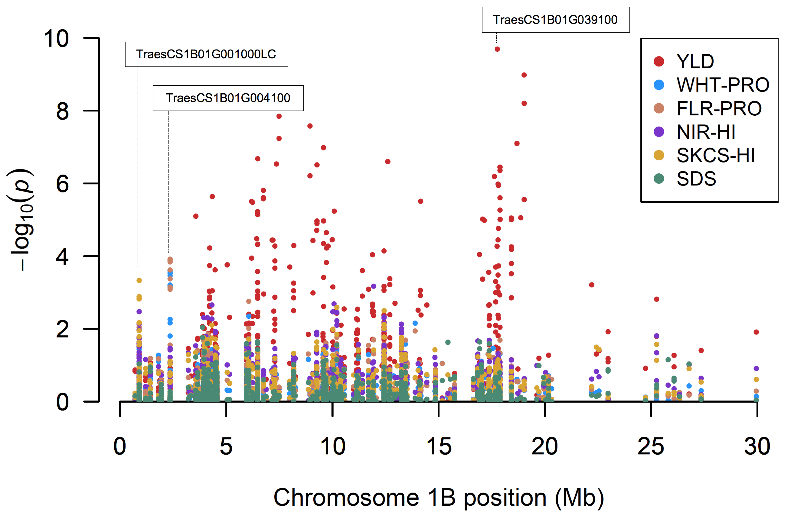Examination of significant single nucleotide polymorphisms present on chromosome 1BS. End-use quality parameters are individually characterized. 