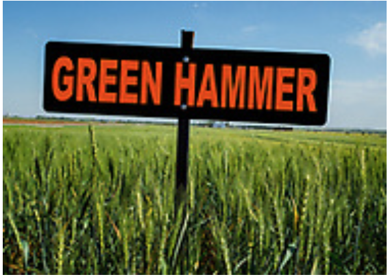 Green Hammer (OK13209) 